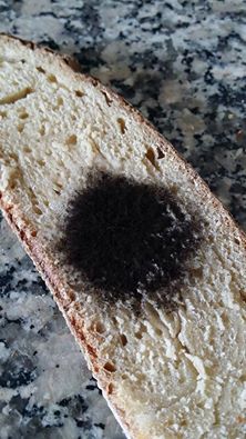 come riconoscere il pane buono
